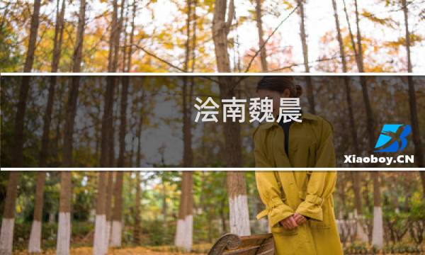 浍南魏晨