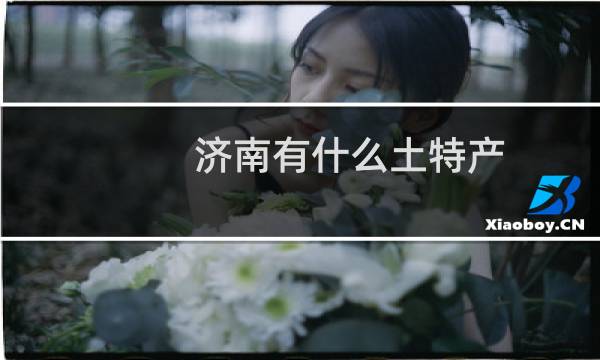 济南有什么土特产图片