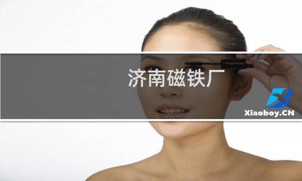 济南磁铁厂