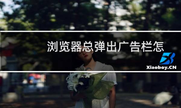 浏览器总弹出广告栏怎么办