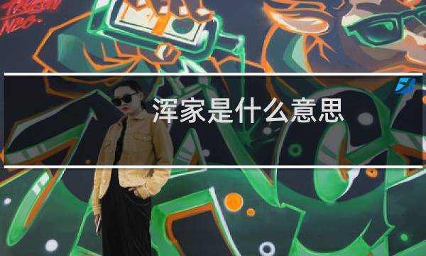 浑家是什么意思图片