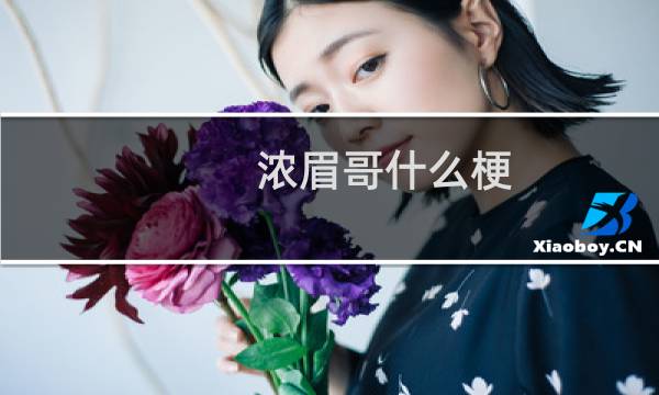 浓眉哥什么梗