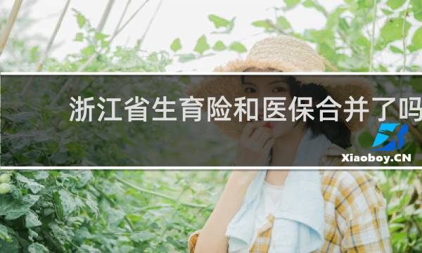 浙江省生育险和医保合并了吗