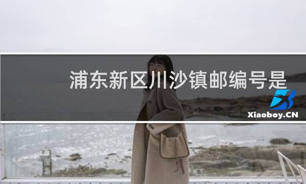 浦东新区川沙镇邮编号是多少