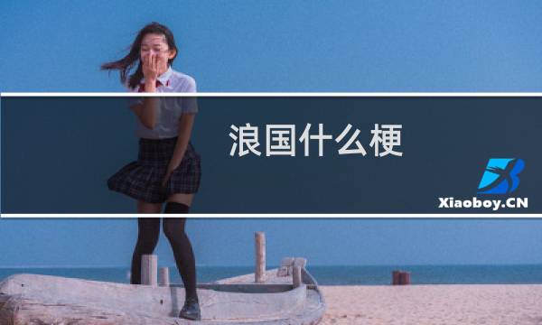 浪国什么梗