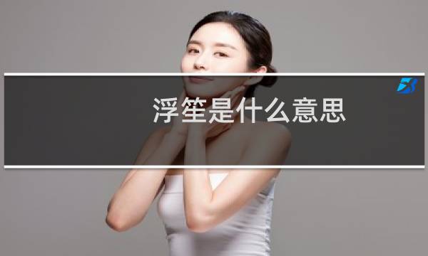 浮笙是什么意思