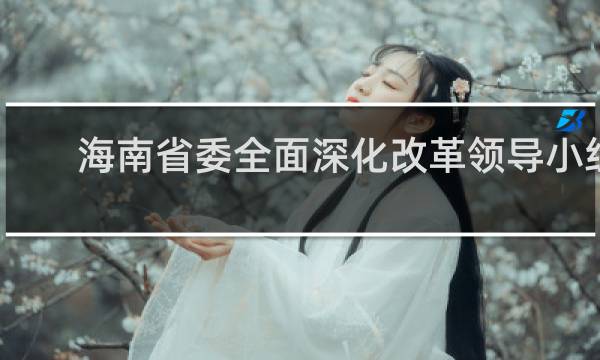 海南省委全面深化改革领导小组(关于海南省委全面深化改革领导小组简述)