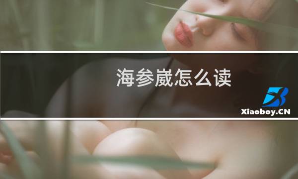 海参崴怎么读(海参崴的含义)