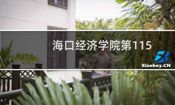 海口经济学院第115组有哪些专业 招生多少人