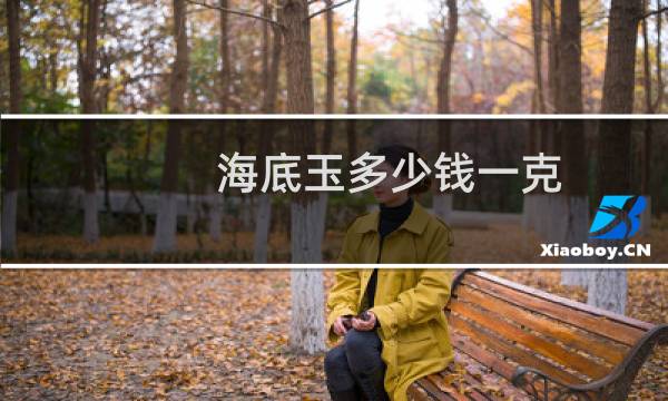 海底玉多少钱一克