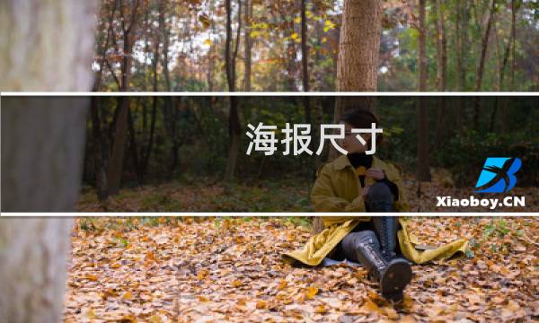 海报尺寸（海报尺寸是多少）