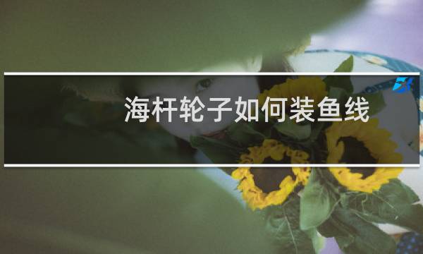 海杆轮子如何装鱼线
