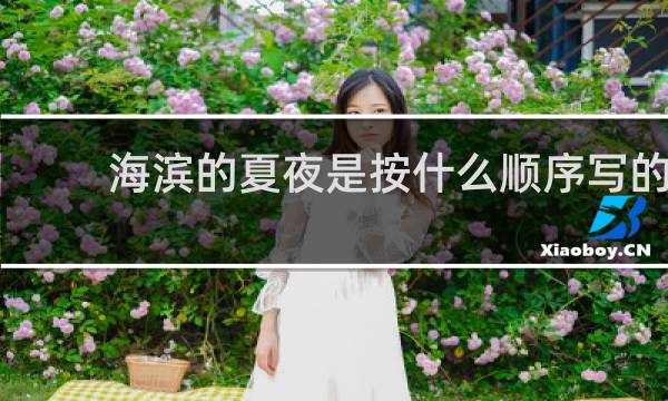 海滨的夏夜是按什么顺序写的