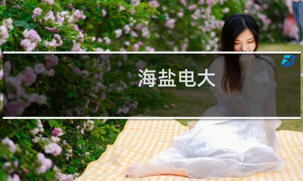 海盐电大