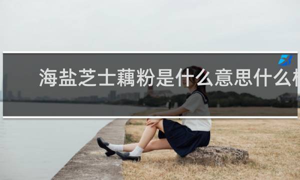 海盐芝士藕粉是什么意思什么梗