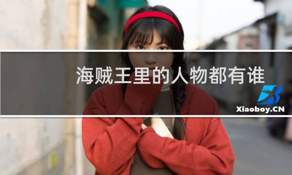 海贼王里的人物都有谁(海贼王里的人物)