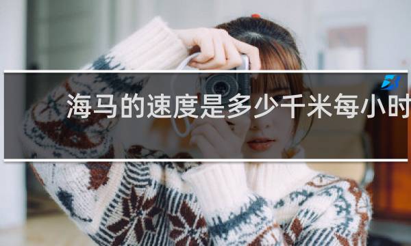 海马的速度是多少千米每小时