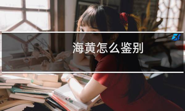 海黄怎么鉴别