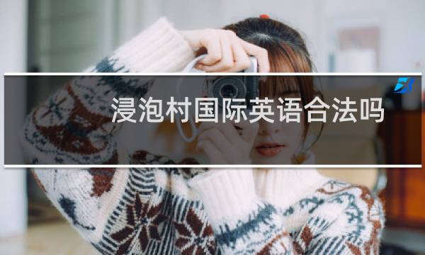 浸泡村国际英语合法吗
