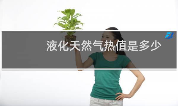 液化天然气热值是多少大卡（液化天然气热值应该是多少）图片