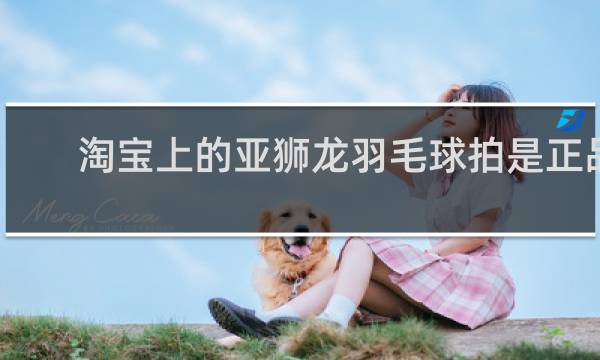 淘宝上的亚狮龙羽毛球拍是正品吗