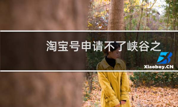 淘宝号申请不了峡谷之巅（淘宝号申请）图片
