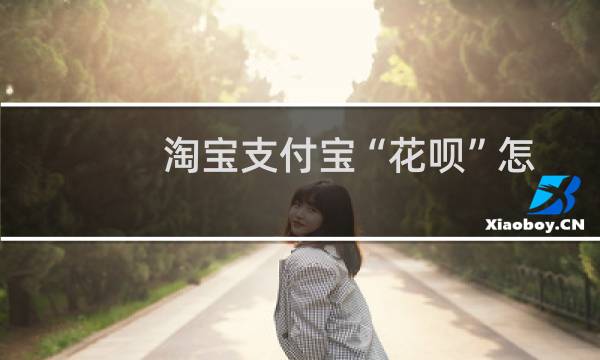 淘宝支付宝“花呗”怎么用？互联网