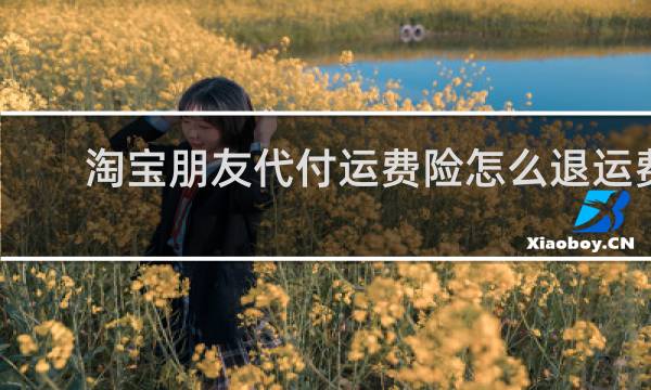淘宝朋友代付运费险怎么退运费图片