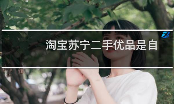 淘宝苏宁二手优品是自营吗（淘宝上说的优品是指二手的吗）
