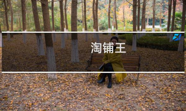淘铺王图片