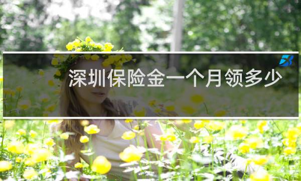 深圳保险金一个月领多少