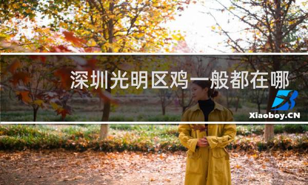 深圳光明区鸡一般都在哪