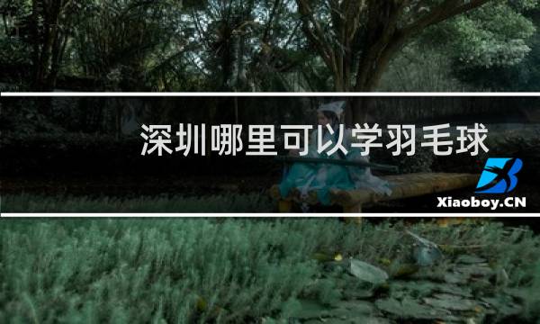 深圳哪里可以学羽毛球