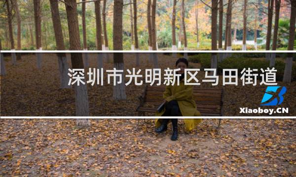 深圳市光明新区马田街道邮编是多少
