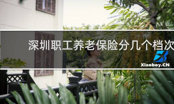 深圳职工养老保险分几个档次图片