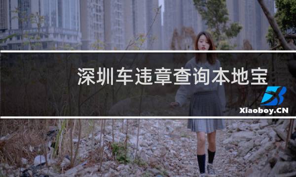 深圳车违章查询本地宝（深圳小车违章查询）图片