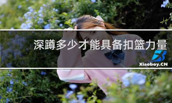 深蹲多少才能具备扣篮力量