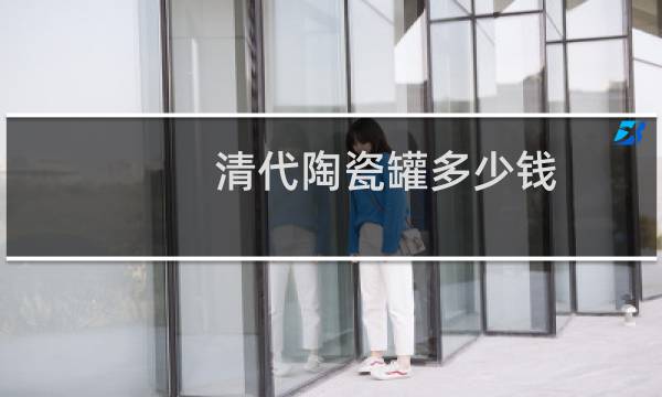 清代陶瓷罐多少钱图片