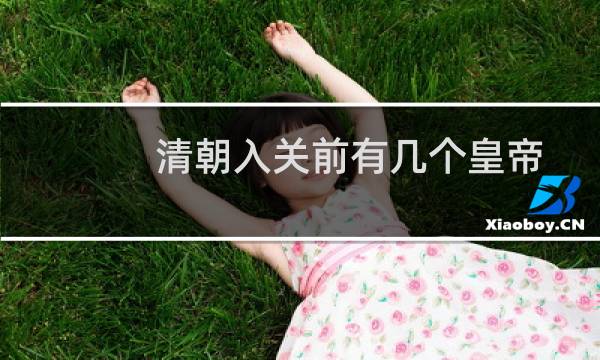 清朝入关前有几个皇帝