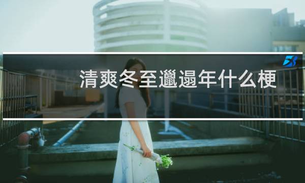 清爽冬至邋遢年什么梗