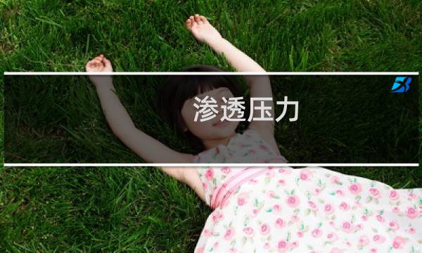 渗透压力
