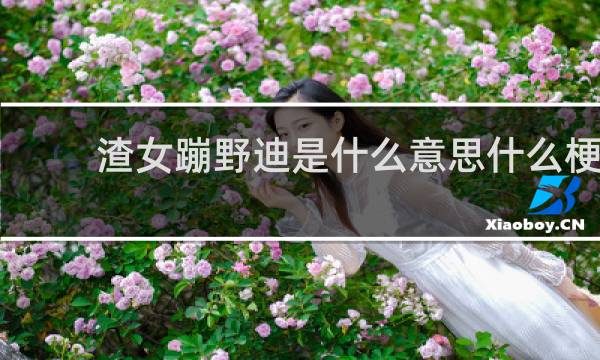 渣女蹦野迪是什么意思什么梗