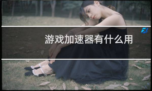 游戏加速器有什么用（加速器有什么用）