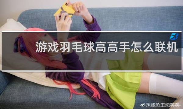 游戏羽毛球高高手怎么联机