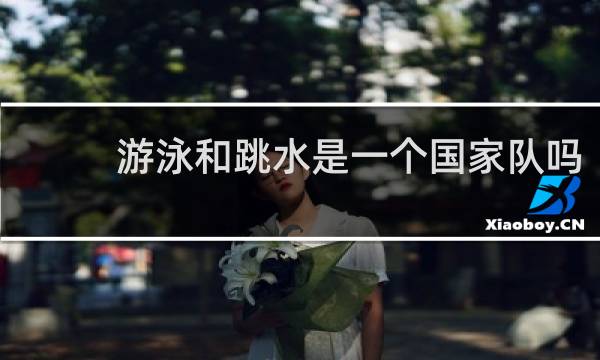 游泳和跳水是一个国家队吗