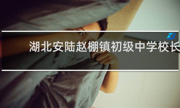 湖北安陆赵棚镇初级中学校长的图片