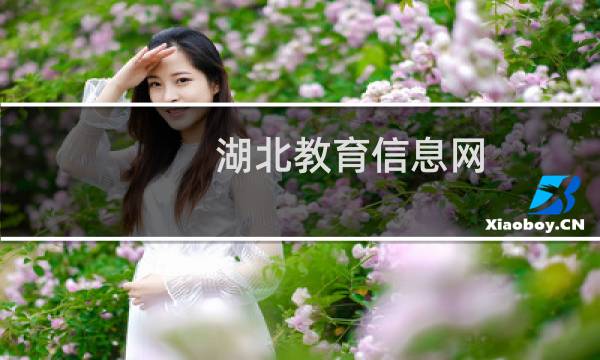 湖北教育信息网图片