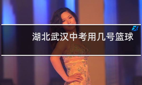湖北武汉中考用几号篮球