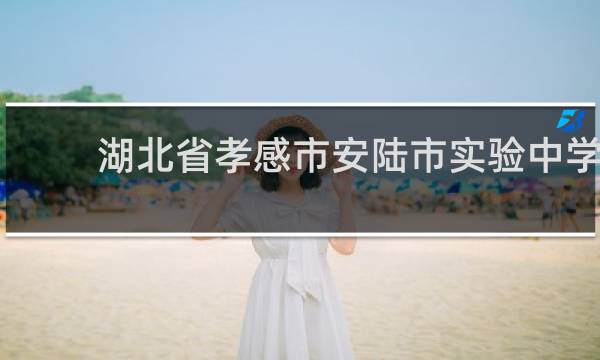 湖北省孝感市安陆市实验中学学生中午在不在学校吃饭的图片