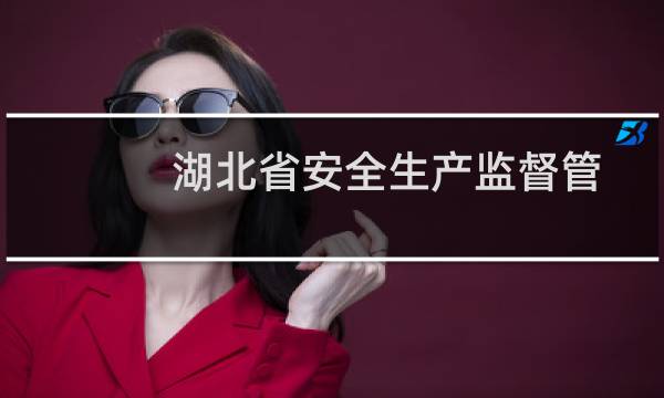 湖北省安全生产监督管理局图片
